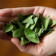 The drink that once threatened Britain thumbnail