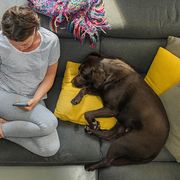 A woman sits with her dog on the sofa thumbnail