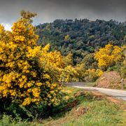 A stunning drive in the French Riviera thumbnail