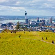 Auckland skyline with Sky Tower from Mount Eden thumbnail