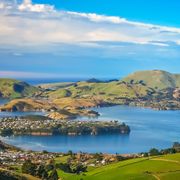 Dunedin town and bay seen from the hills above thumbnail