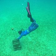 Researcher Annie Innes-Gold deploys a hydrophone used to listen in on ocean sounds (Credit: Dava Watson) thumbnail