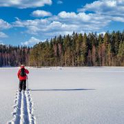 A person skiing by themselves in Sweden thumbnail