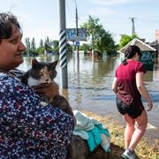 A Ukrainian holds her pet cat above flood from burst Kakhovka dam (Credit: Getty Images) thumbnail