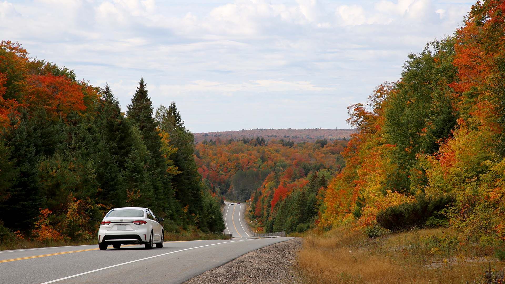 Algonquin Provincial Park Inspires New Beginnings