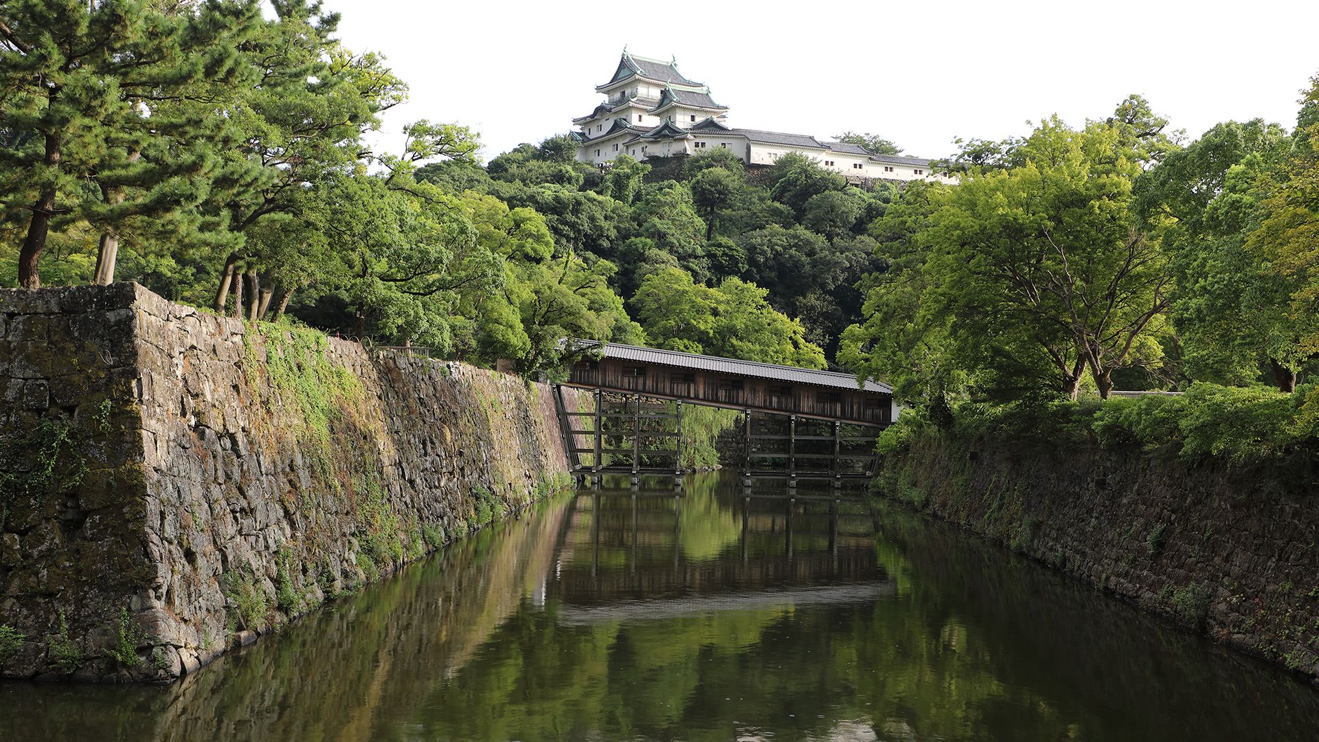 (Credit: Tom Schiller)