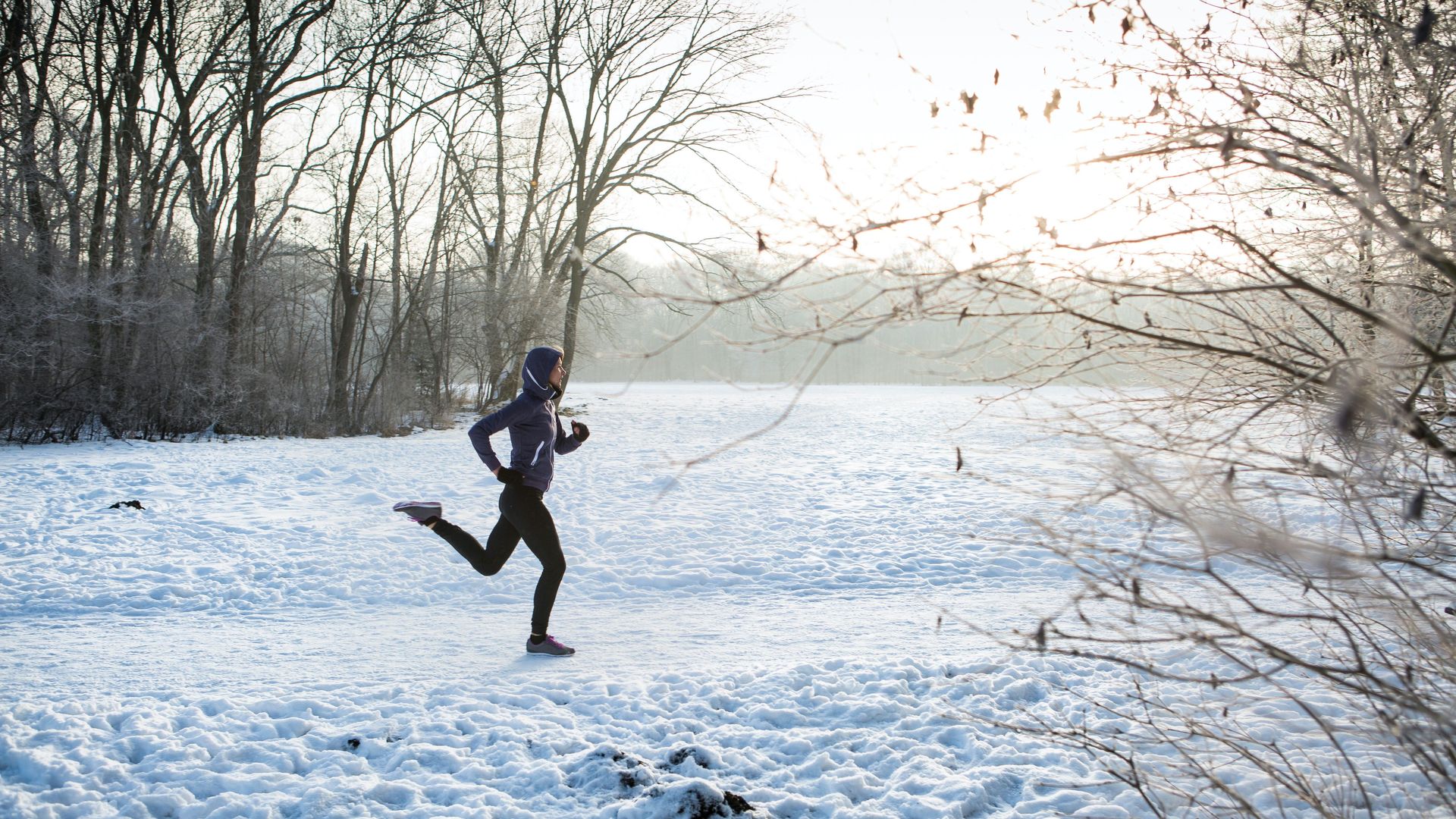 Is a vegan diet healthier than eating meat and dairy? BBC Reel