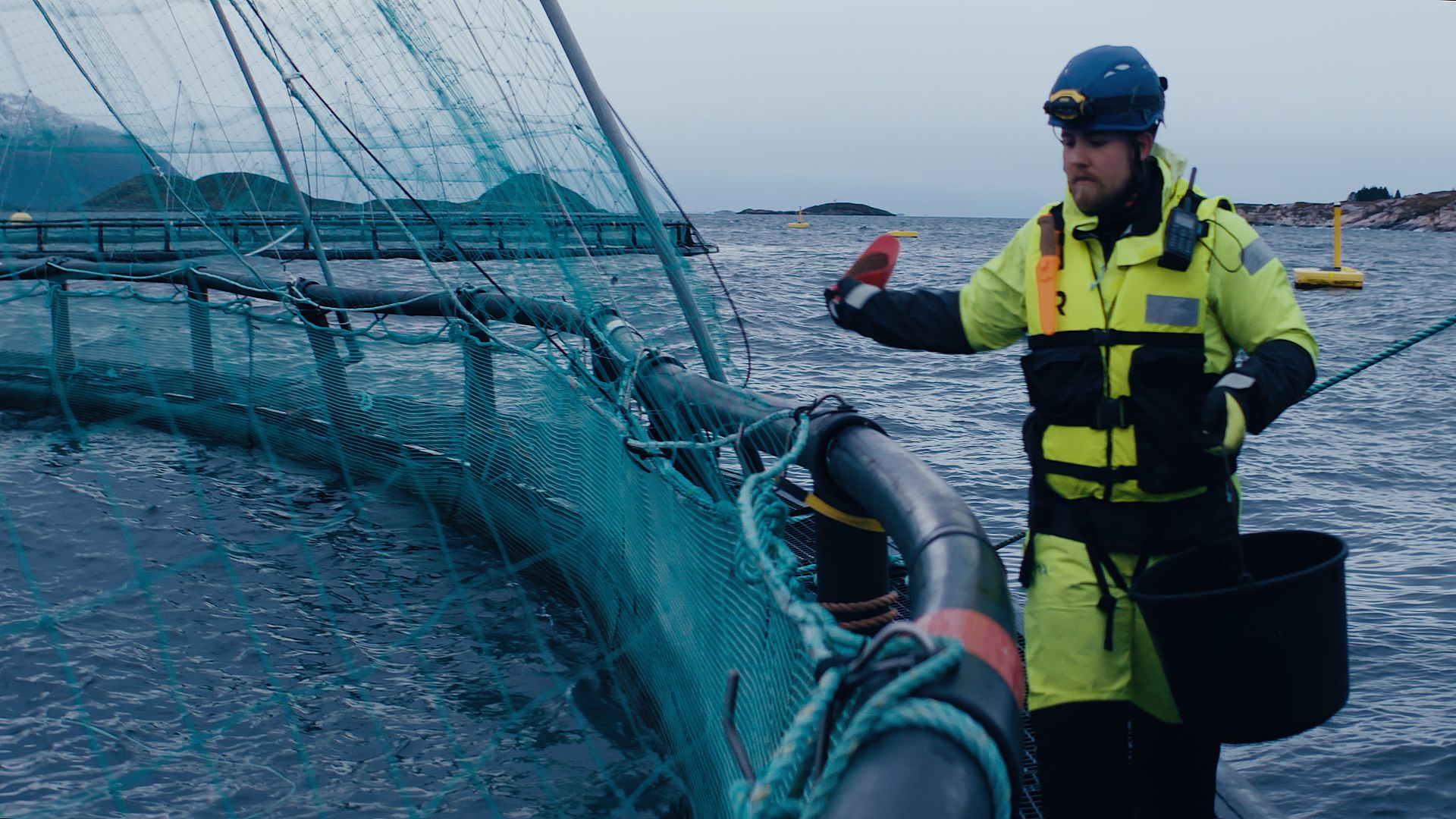 How to trace salmon fraudsters How to trace salmon fraudsters