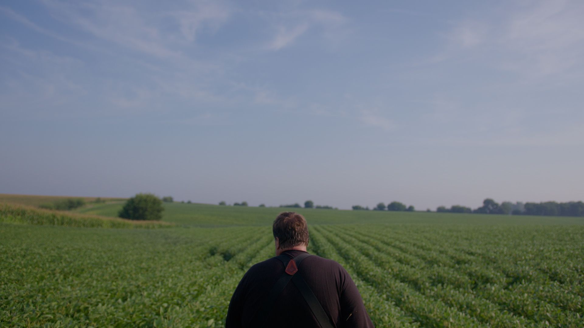 Man walking through a field