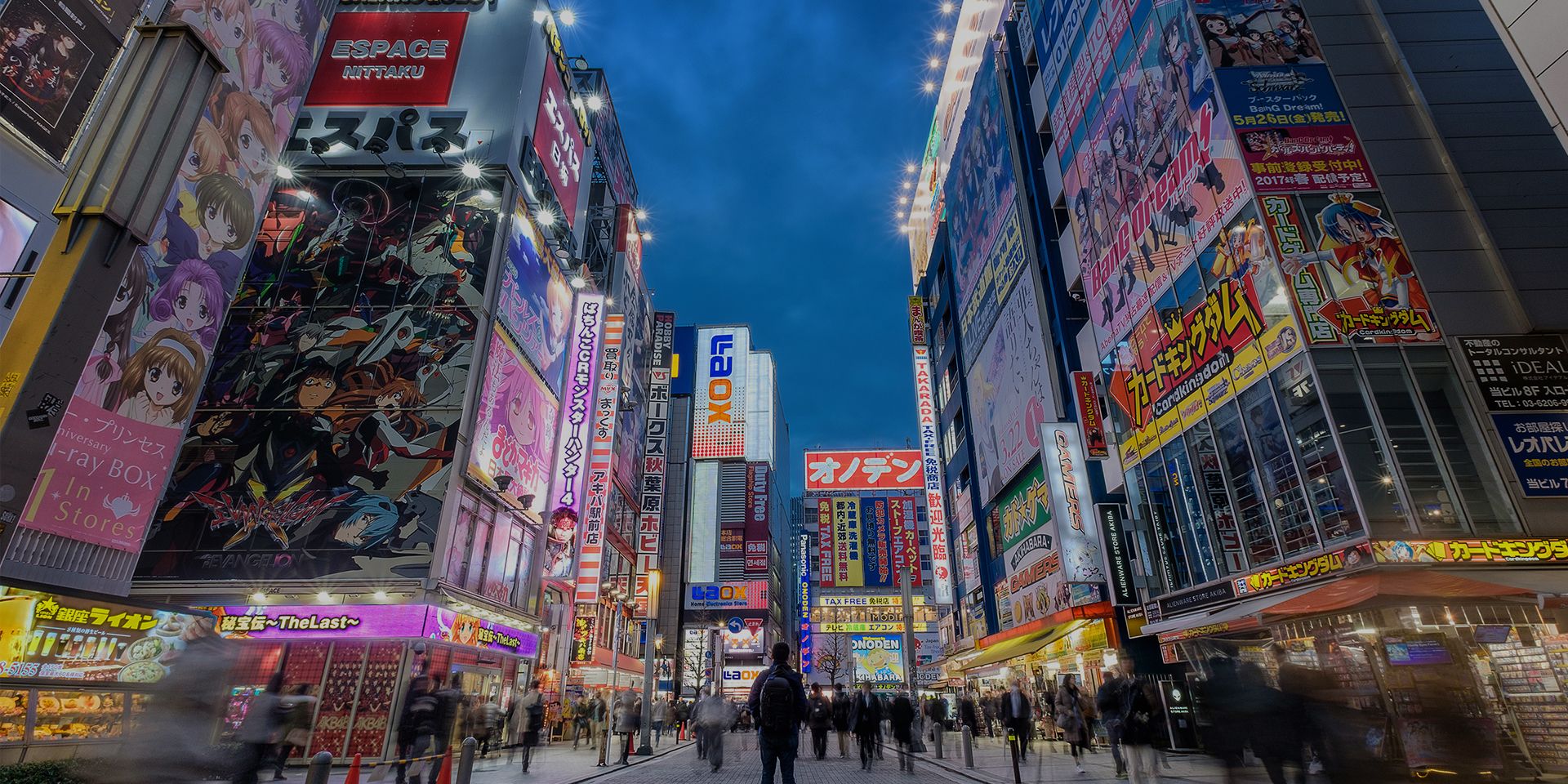 One of the multitude of anime shops in the Akihabara Shopping area