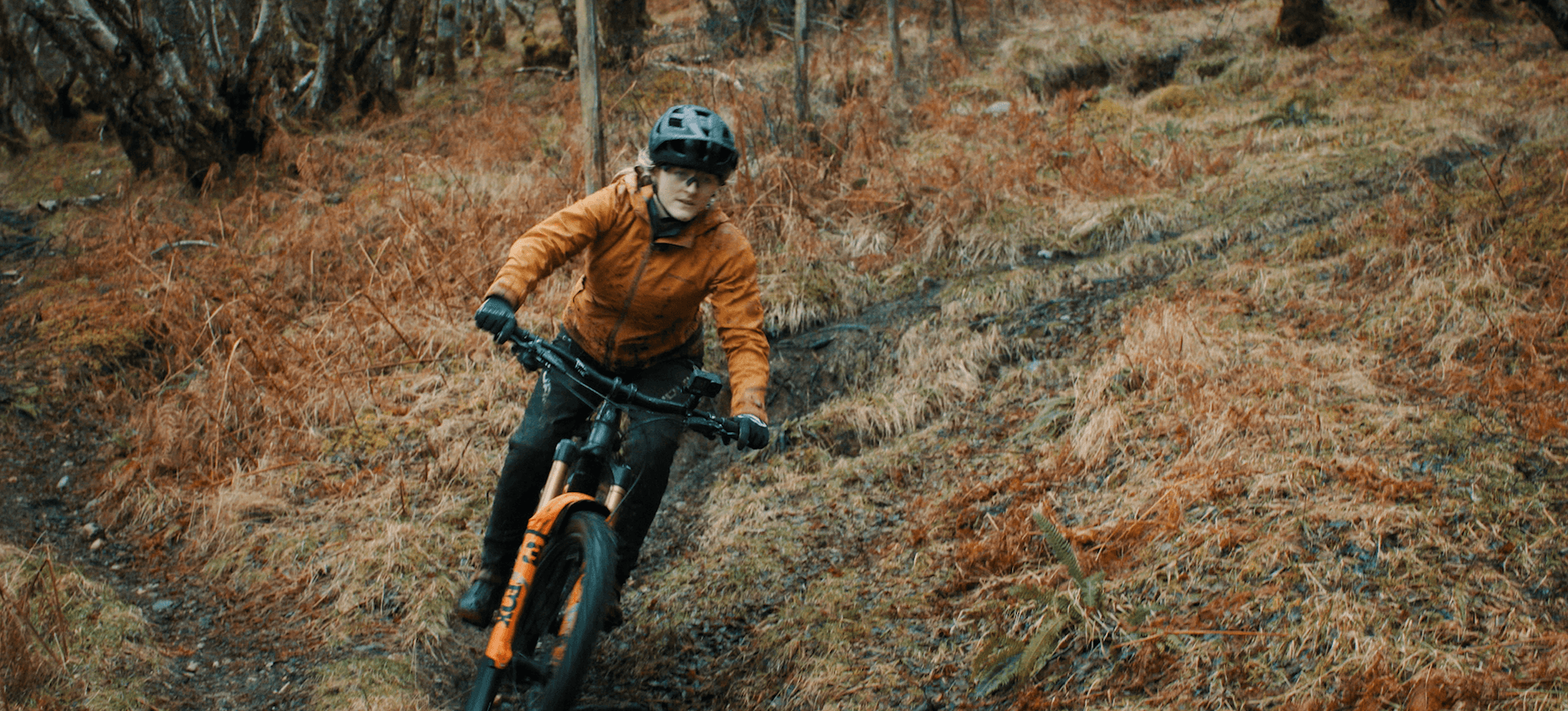 An Adventurous Spirit