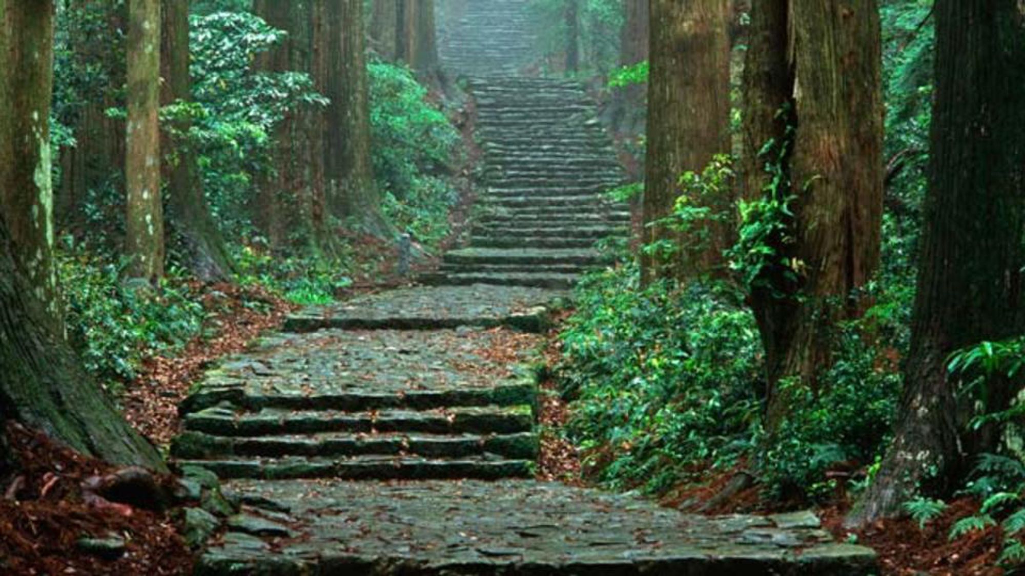 Wakayama Kumano Wakayama Kumano