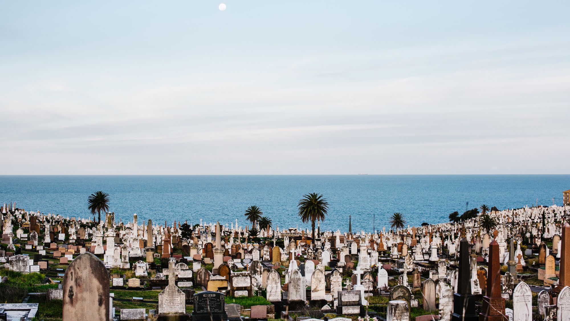 Sydney PE - Inspired - Waverley Cemetery