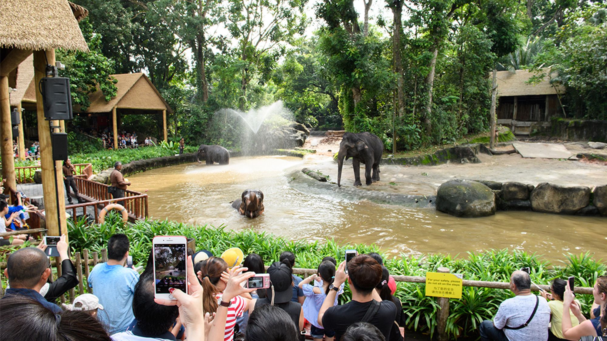 Singapore Zoo