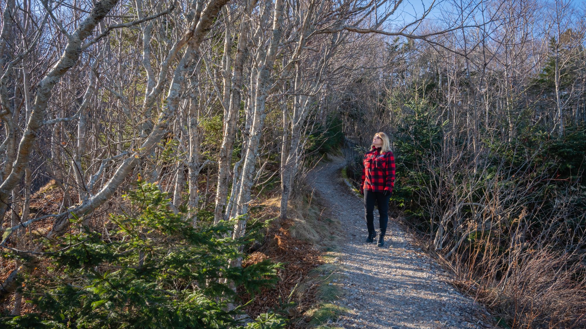 Hiking trails lead to lookouts that showcase impressive views.