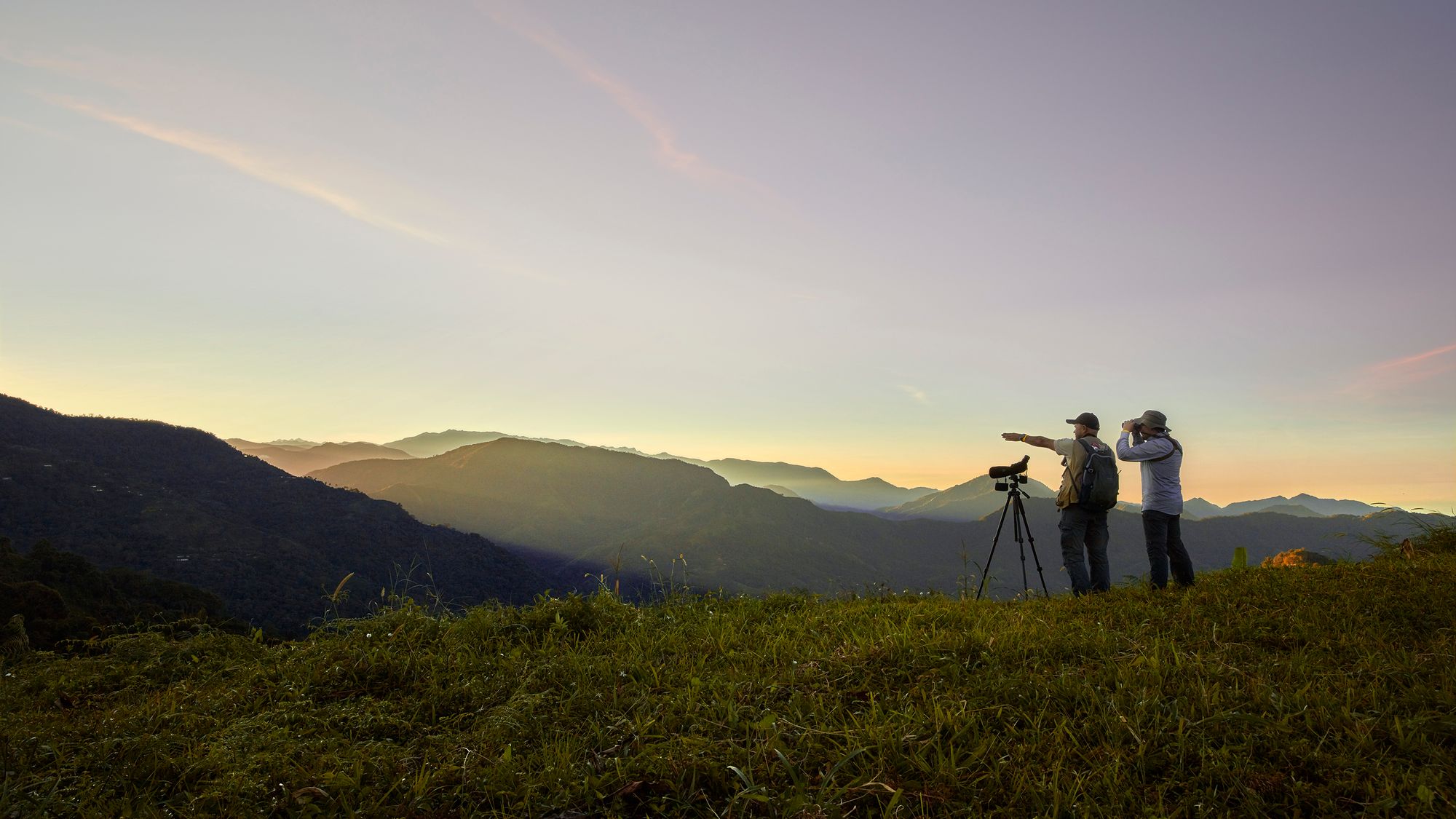 Minca, Santa Marta, Avistamiento