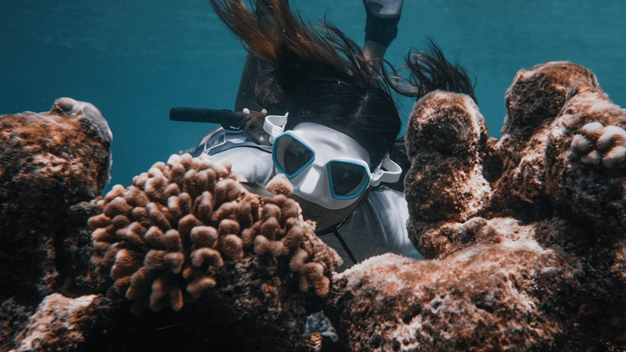 Magical underwater experiences in the Maldives