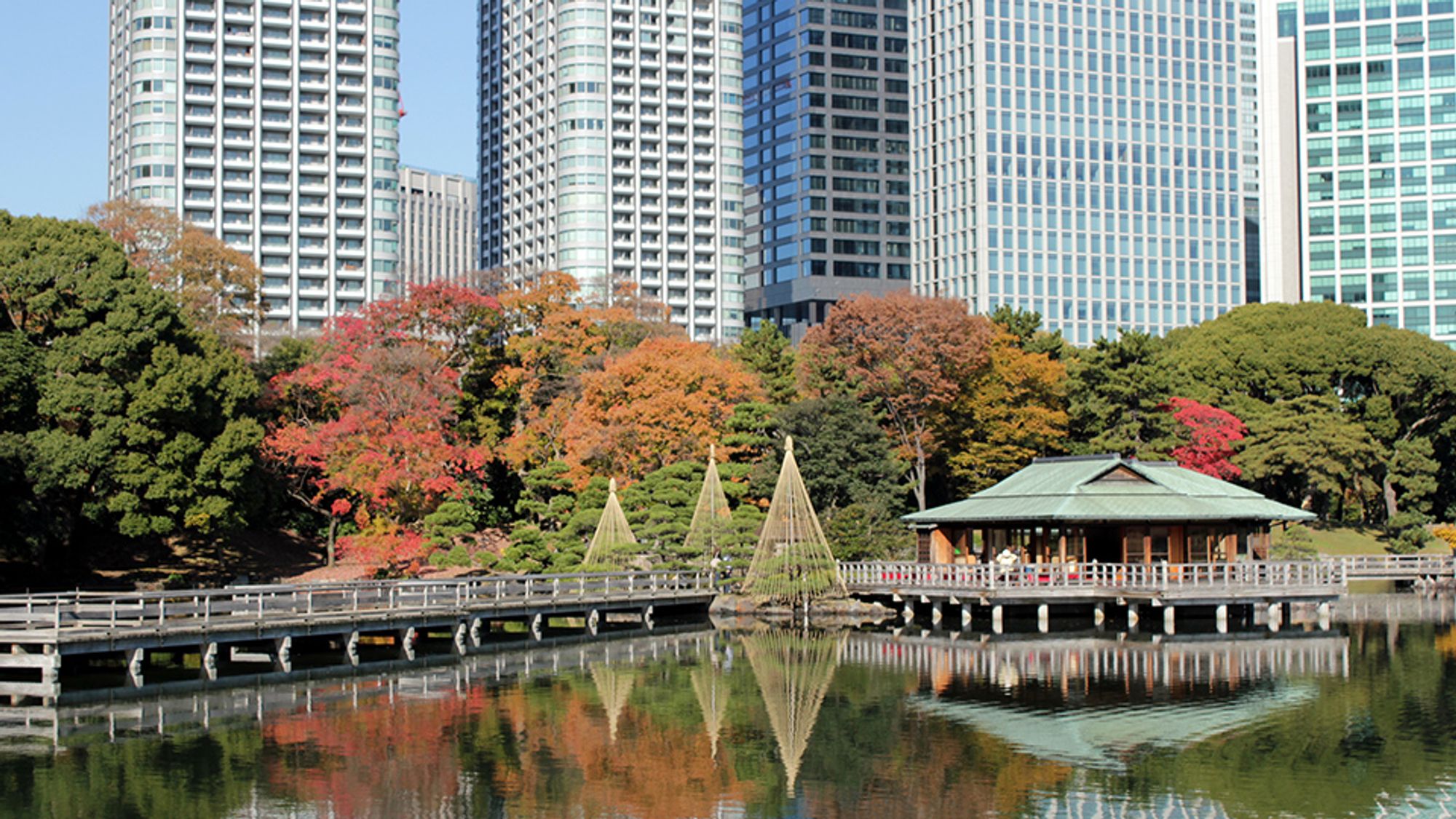 48 hours in Tokyo: Our express guide to the Japanese capital