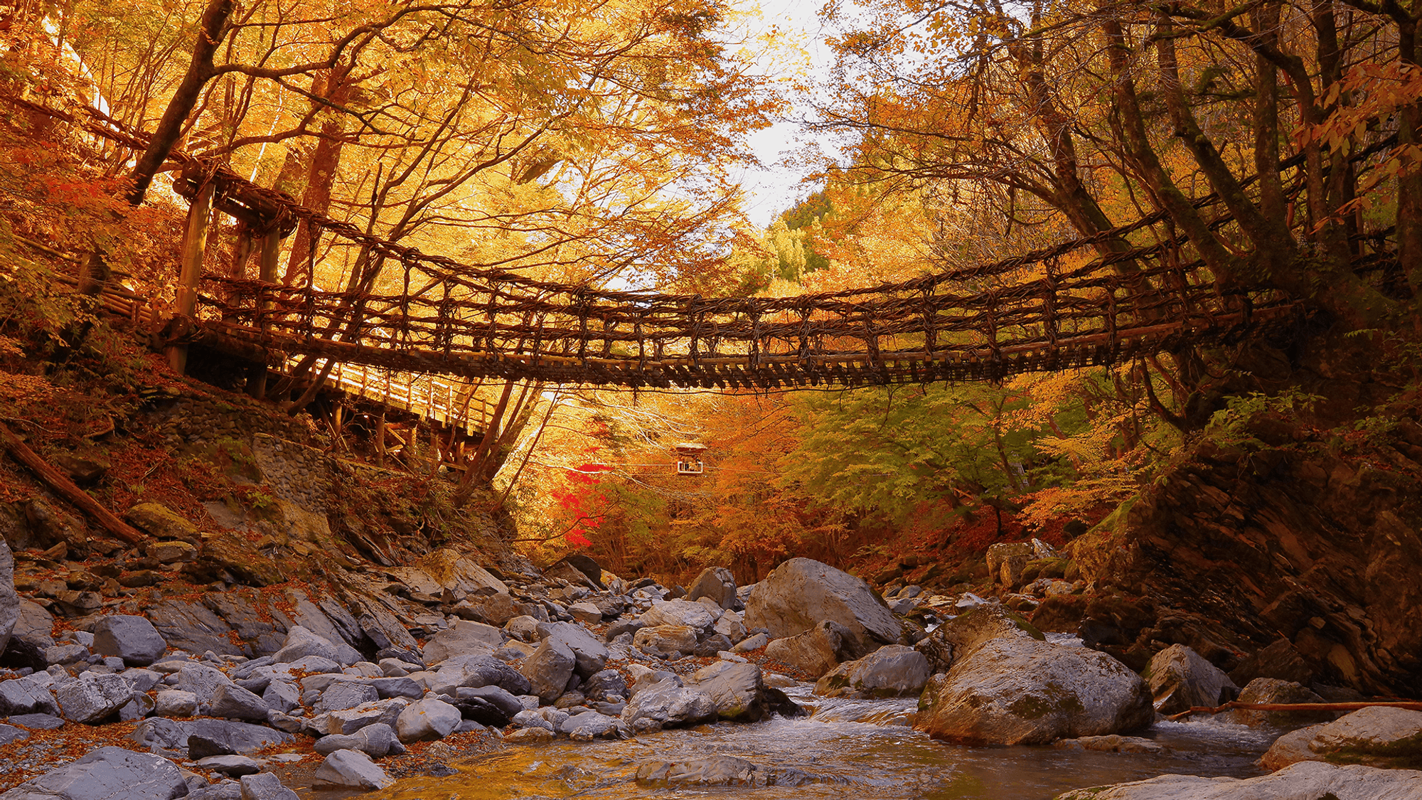 Kazurabashi, suspension bridges constructed from vines