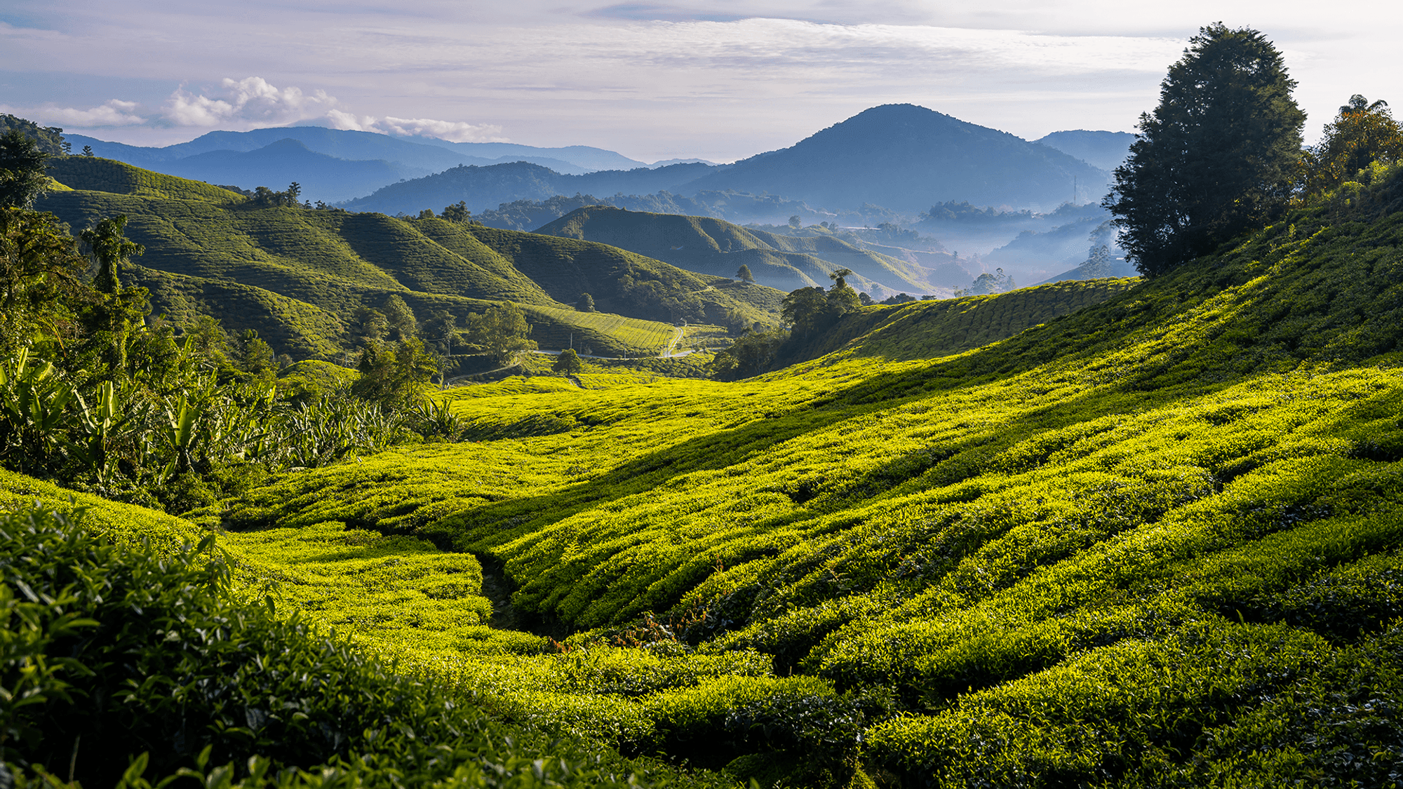 The roads less travelled: A cultural journey along Malaysia's east ...