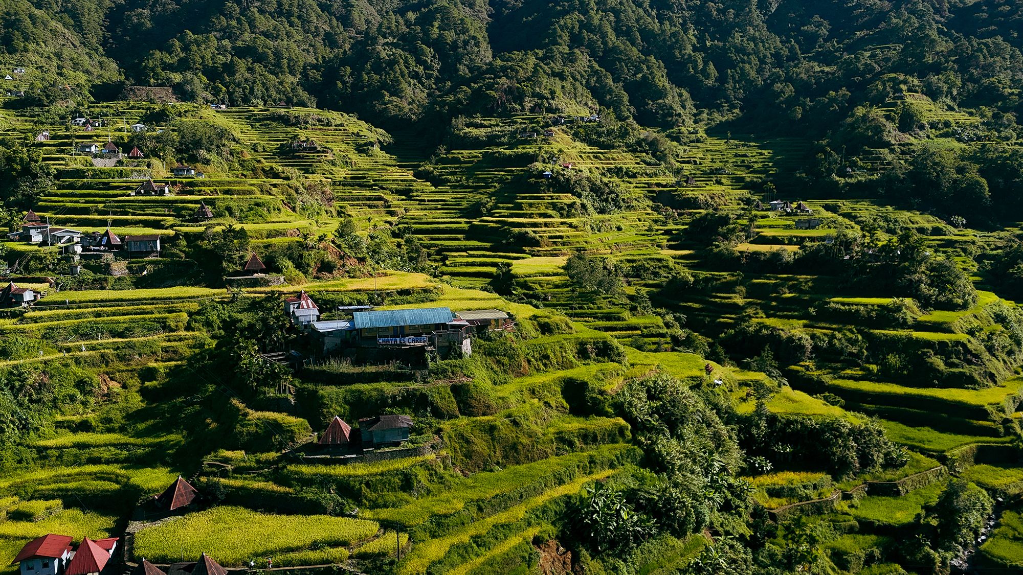 A love for tradition: Exploring the Philippines' diverse cultural ...