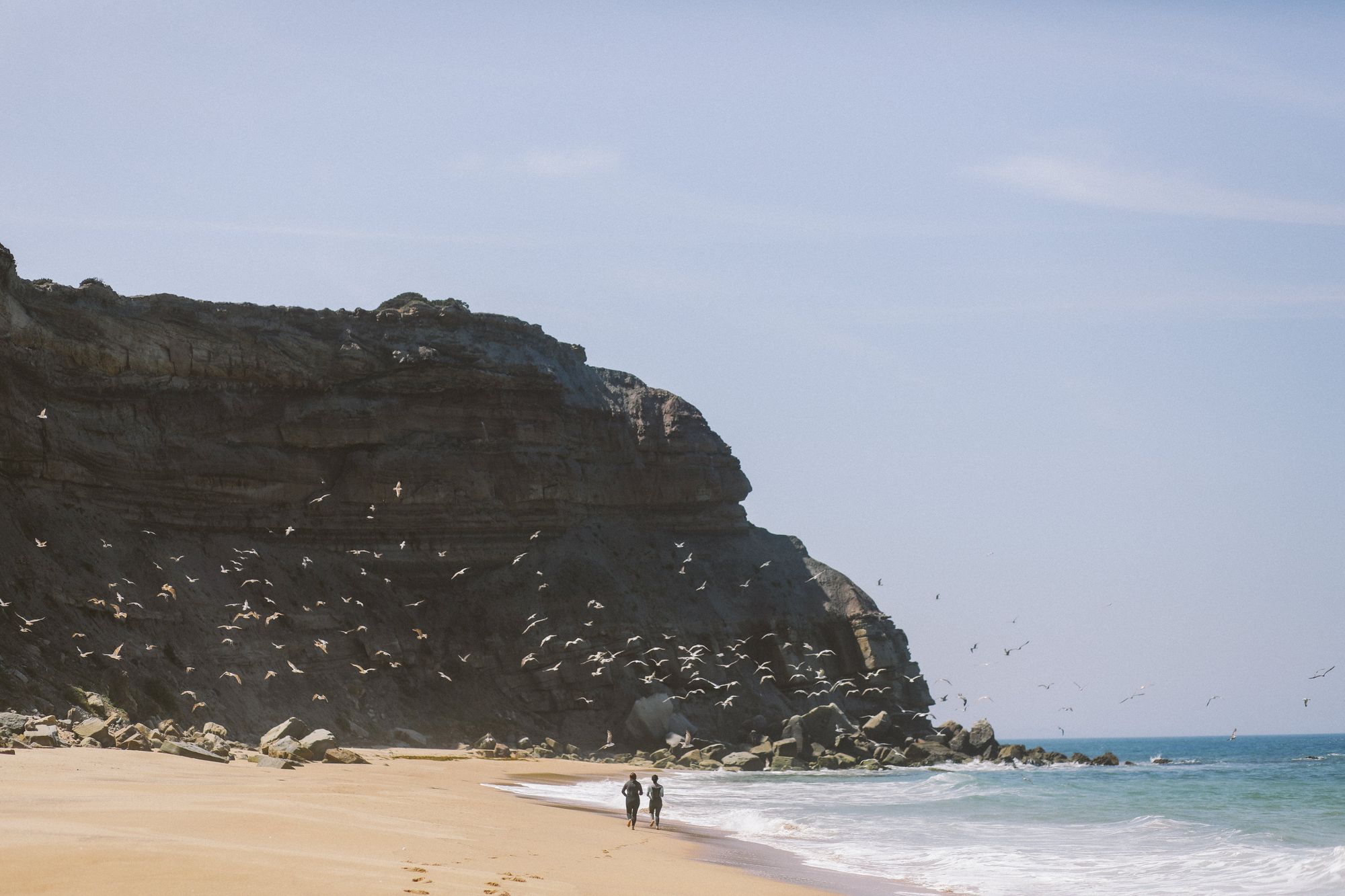 Two people walking on beach with birds