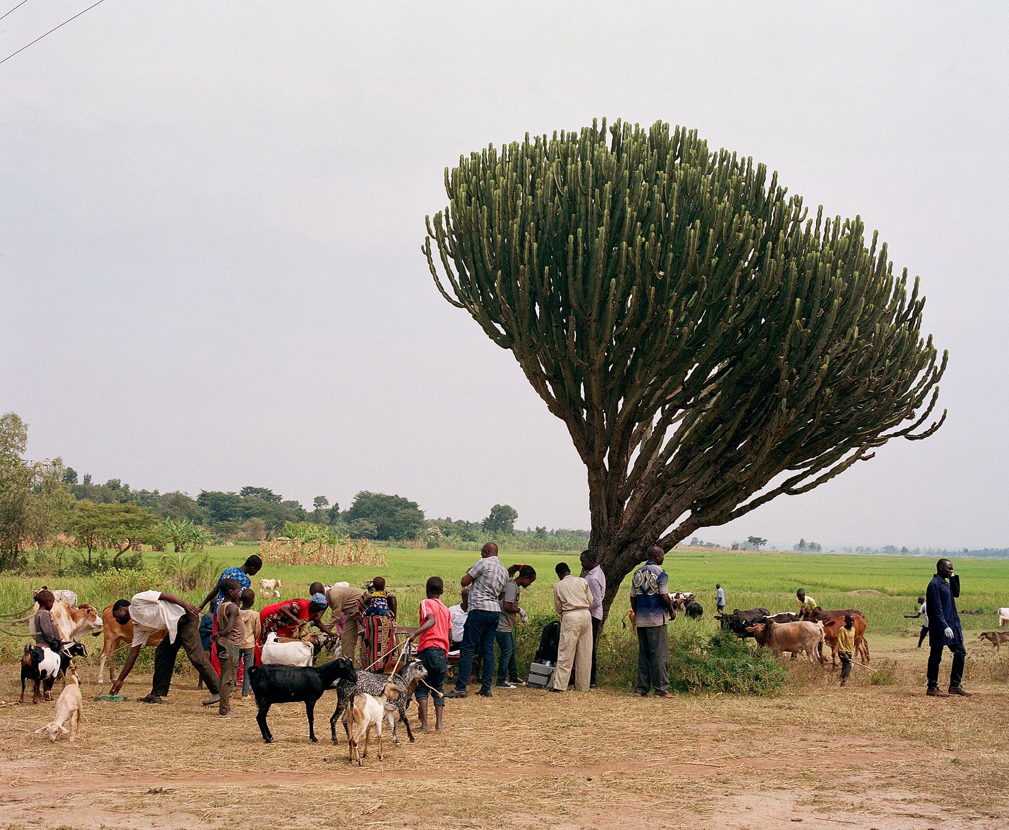 People standing next to a tree and surrounded by nature