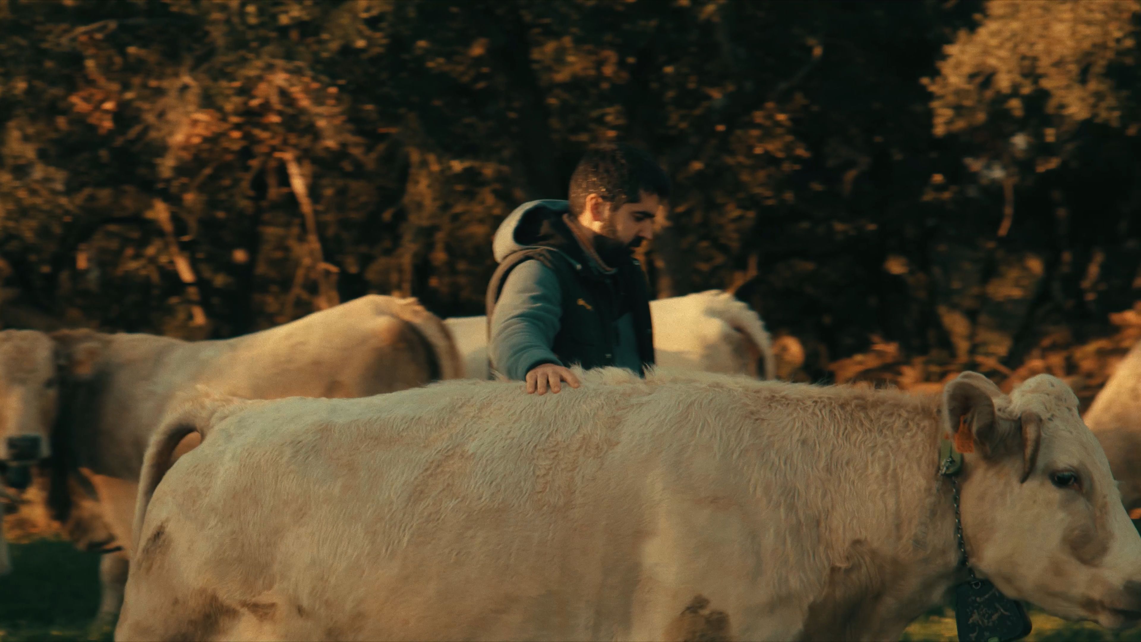 Catalan Farmer Uses Tech to Protect 700-Year-Old Family Farm