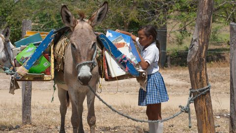 The donkey libraries of Colombia