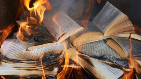 The books the Nazis almost destroyed