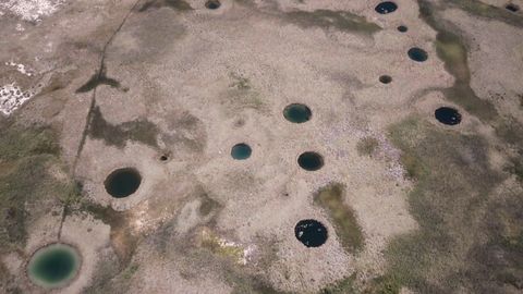The lost world with clues to early life