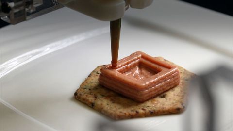 Can we 3D print our food?