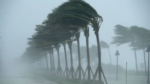 How to prevent hurricane devastation