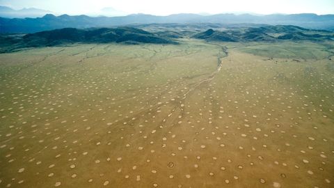 The mysterious fairy circles of Namibia