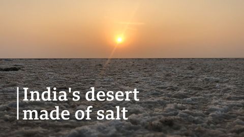 India's surreal salt desert