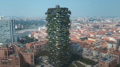 The vertical forest tackling pollution