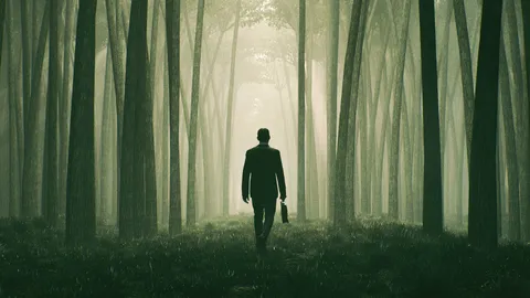 Japan's forest of healing