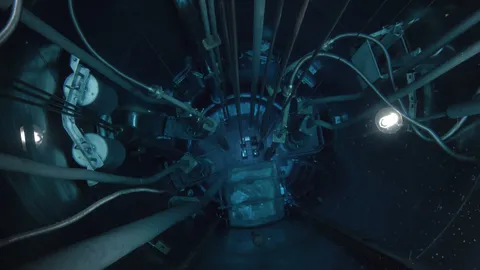 Argentina's nuclear island