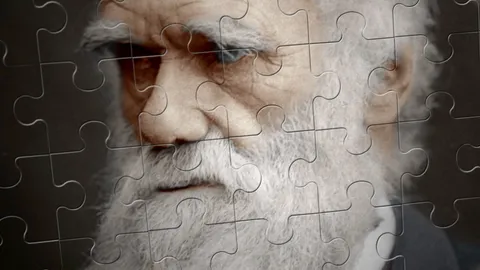 Have we misunderstood Darwin?