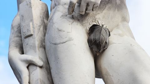 What's under the fig leaf?