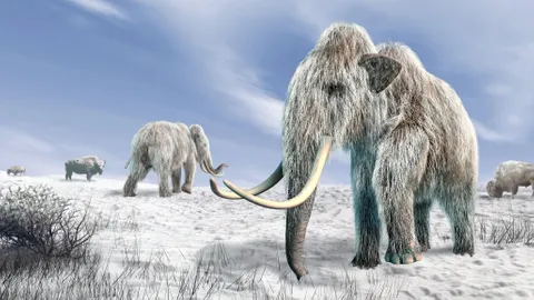 How mammoths could fight climate change