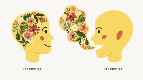 The extreme language of extroverts