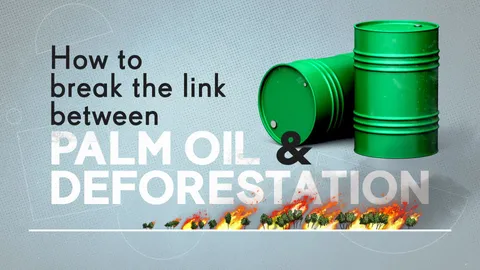 Palm oil and deforestation