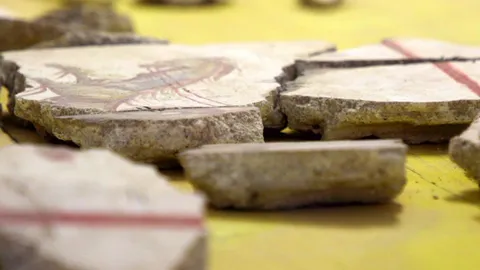 Pompeii puzzle gets help from robots