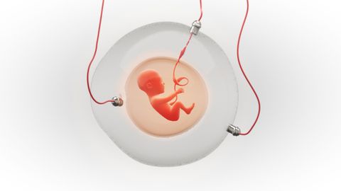 Is this the future of human birth?