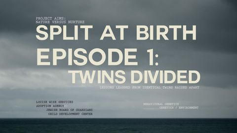 The twins who were split at birth