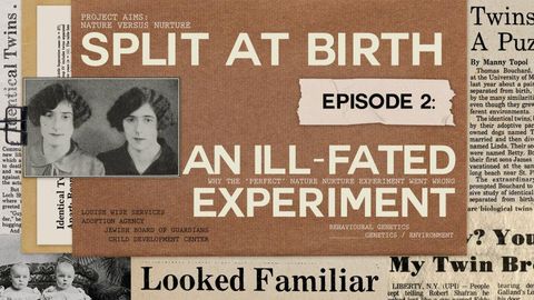 How the 'perfect' experiment went wrong