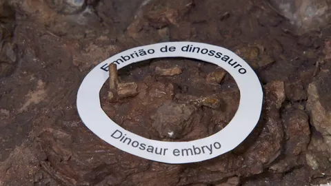 Is this the real life 'Jurassic Park'?