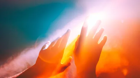 Inside the near-death experience