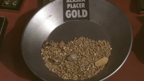 Searching for gold in Alaska